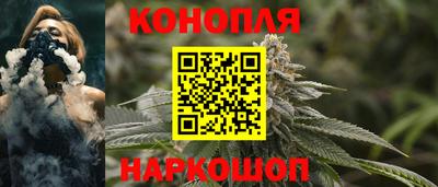 крисы Аргун