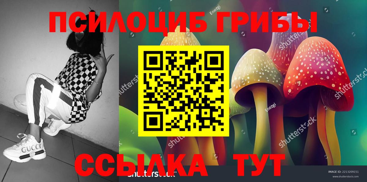 Псилоцибиновые грибы прущие грибы Бор