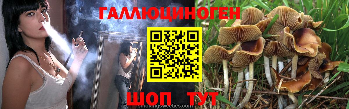 Псилоцибиновые грибы MAGIC MUSHROOMS  Вход с VPN  купить наркоту  Бор  Галлюциногенные грибы Psilocybine cubensis 